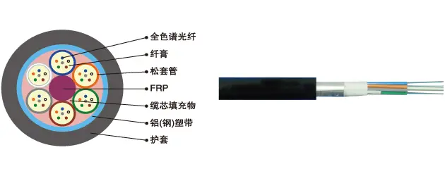 GYFTA(S):非金属加强构件、松套层绞填充式、铝(钢)-聚乙烯粘结护套通信用室外环球巴士优惠码