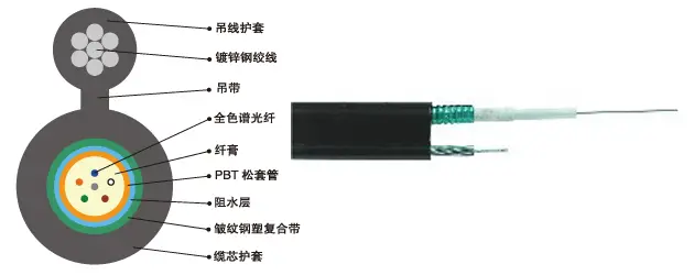 GYXTC8S:金属加强构件、中心束管填充式、钢-聚乙烯粘结护套、“8”字自承式通信用室外环球巴士优惠码